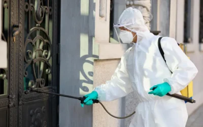 Dedetizadora na Vila Mariana: Serviço de Descupinização na Vila Mariana