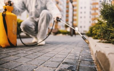 Não sabe como acabar com as pragas urbanas? Contrate a Dedetização na Saúde SP e não tenha problemas!