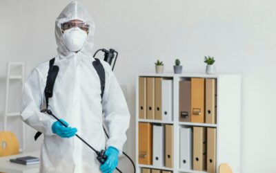 Descupinização de Móveis: quanto custa?