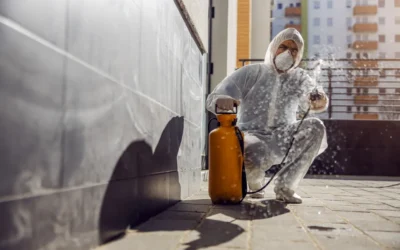 Dedetização em Condomínios: Blindando o seu condominios contra as pragas