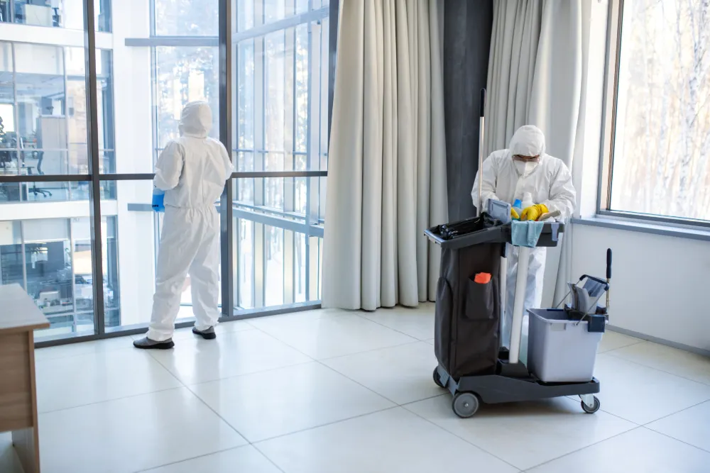 Controle de Pragas para Hotelaria: conte com uma empresa especializada Controle de Pragas para Hotelaria: conte com uma empresa especializada