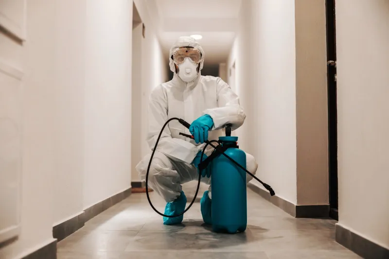 Dedetizadora na Zona Oeste de São Paulo: proteja seu ambiente com o serviço profissional Dedetizadora na Zona Oeste de São Paulo: proteja seu ambiente com o serviço profissional