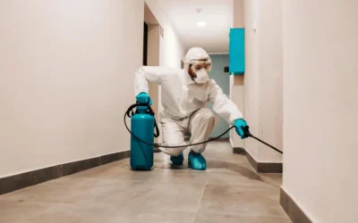 Empresa de Controle de Pragas: saiba o que analisar antes de escolher a melhor opção
