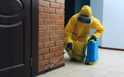 Dedetizadora na Zona Oeste de São Paulo: por que solicitar uma empresa?