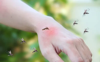 Dedetização de Dengue em SP: Como proteger o seu condomínio contra os mosquitos?