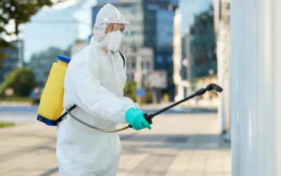 Dedetização em SBC: Profissionalismo na dedetização de baratas e formigas na região.