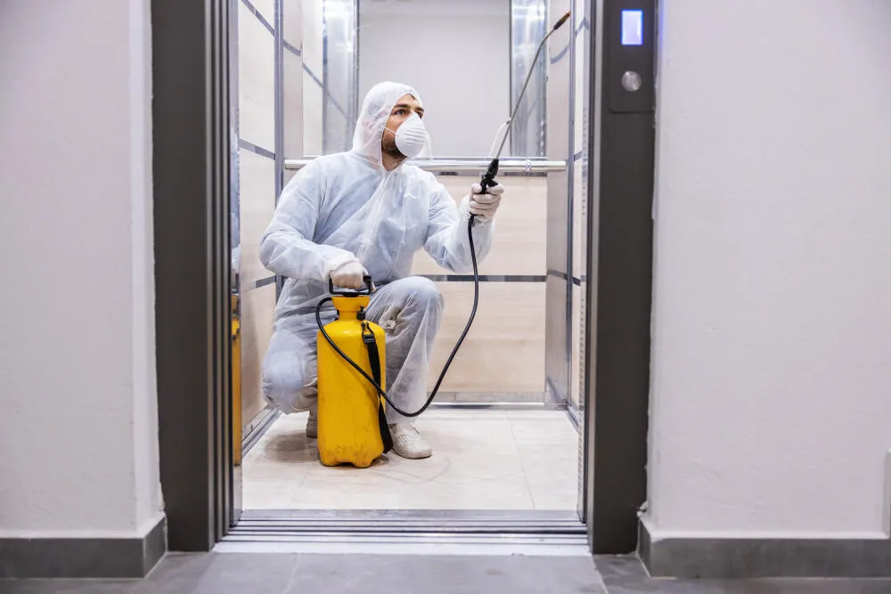 Dedetizadora SP: 6 dicas para uma dedetização eficiente em apartamentos na cidade. Dedetizadora SP: 6 dicas para uma dedetização eficiente em apartamentos na cidade.
