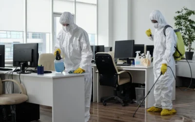 Dedetizadora SP: Etapas essenciais para uma dedetização segura.