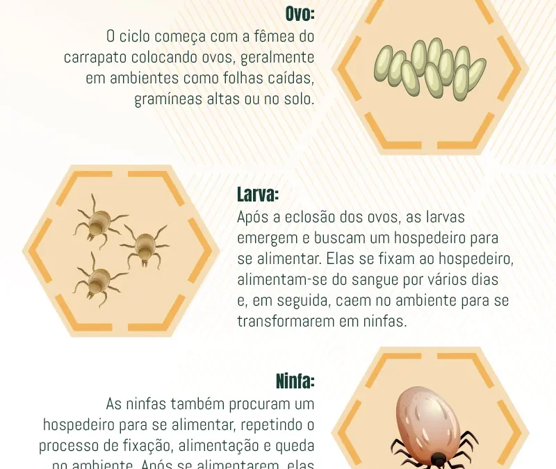 Ciclo de Vida dos Carrapatos: Compreendendo o Ciclo Reprodutivo e Prevenção