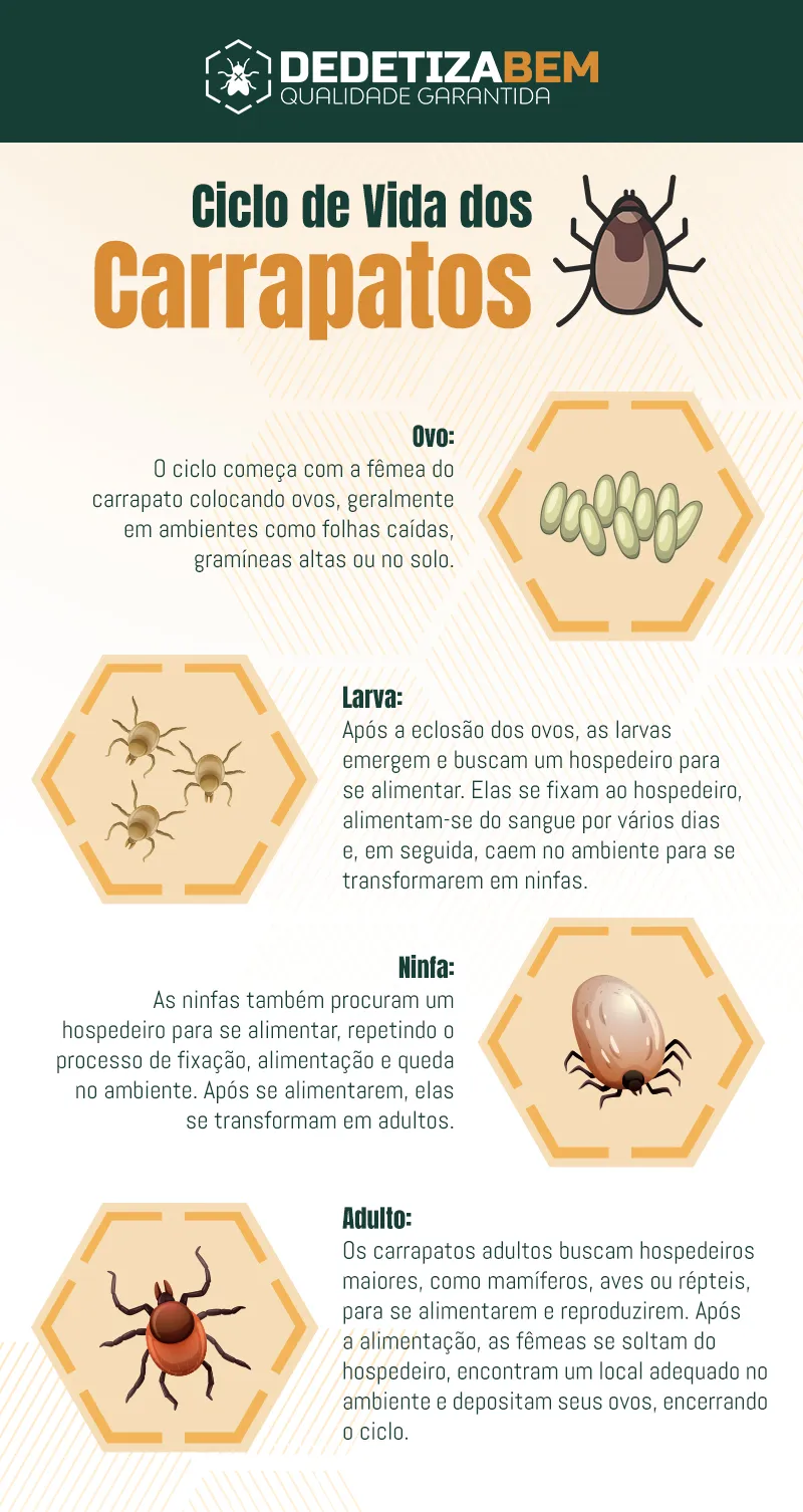 Ciclo de Vida dos Carrapatos: Compreendendo o Ciclo Reprodutivo e Prevenção Ciclo de Vida dos Carrapatos: Compreendendo o Ciclo Reprodutivo e Prevenção