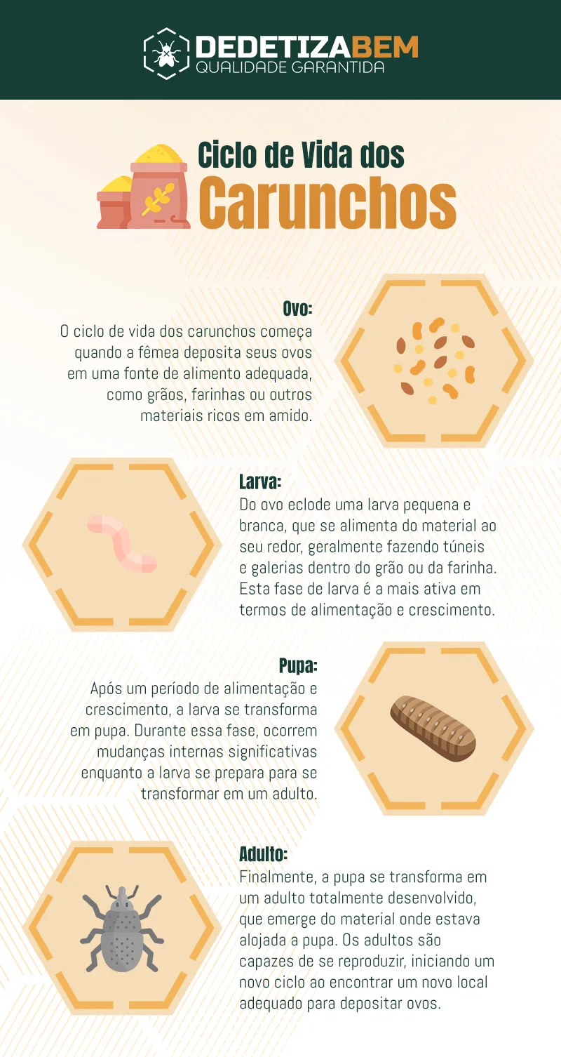 Ciclo de Vida dos Carunchos: Explorando o Ciclo de Vida, Proteção e Métodos de Controle Ciclo de Vida dos Carunchos: Explorando o Ciclo de Vida, Proteção e Métodos de Controle