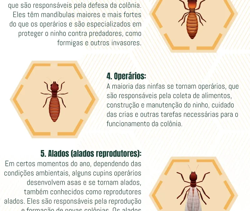 Ciclo de Vida do Cupim de Solo: Da Nascença à Maturidade Subterrânea e Estratégias de Controle