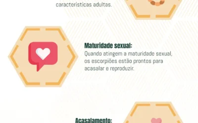 Ciclo de Vida dos Escorpiões: Compreendendo o Ciclo de Vida, Medidas de Controle e os Riscos para humanos