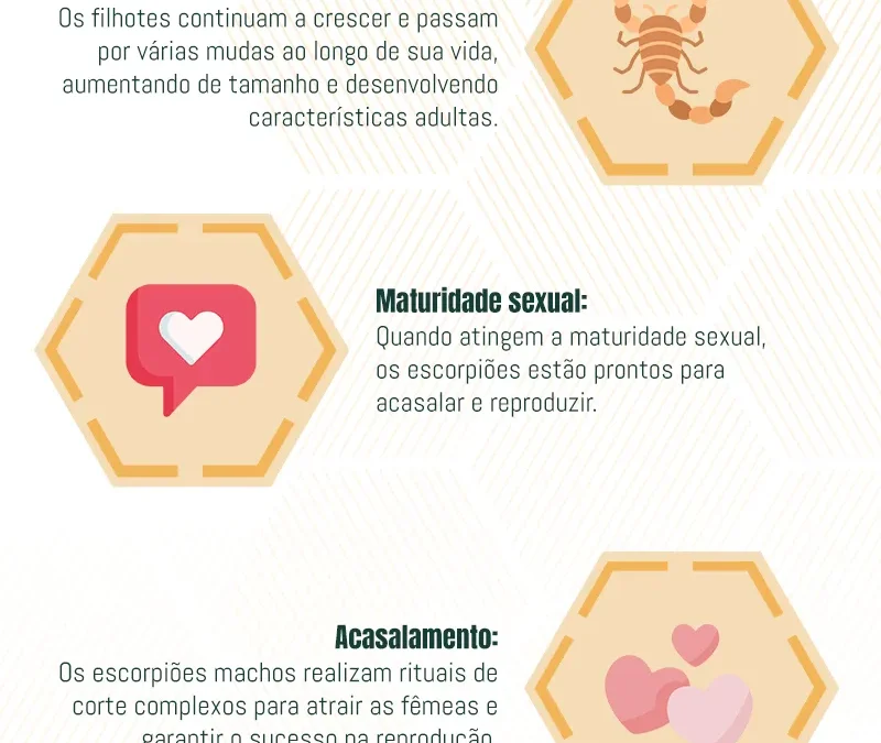Ciclo de Vida dos Escorpiões: Compreendendo o Ciclo de Vida, Medidas de Controle e os Riscos para humanos