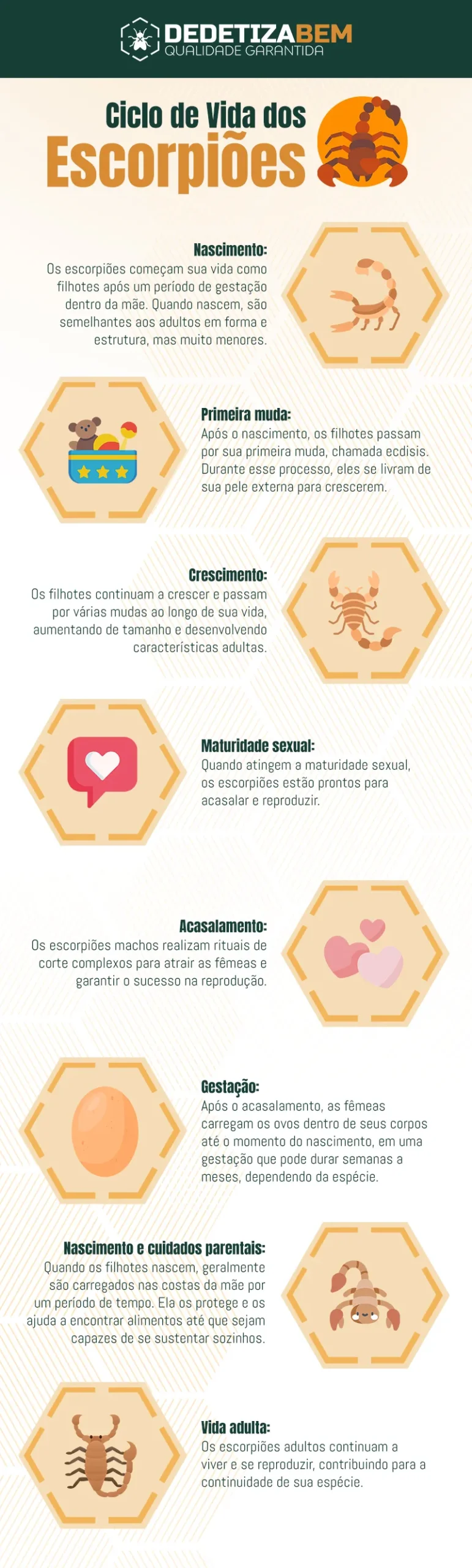 Ciclo de Vida dos Escorpiões: Compreendendo o Ciclo de Vida, Medidas de Controle e os Riscos para humanos Ciclo de Vida dos Escorpiões: Compreendendo o Ciclo de Vida, Medidas de Controle e os Riscos para humanos