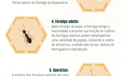 No Mundo das Formigas: Ciclo de Vida, Ninhos e Estratégias de Erradicação