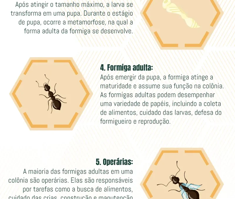 No Mundo das Formigas: Ciclo de Vida, Ninhos e Estratégias de Erradicação