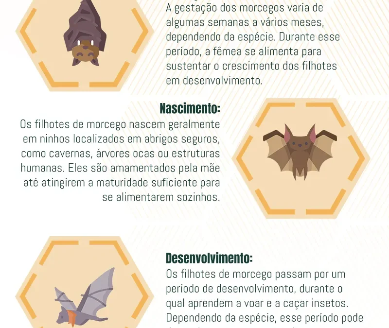 Ciclo de Vida dos Morcegos: Ciclo Reprodutivo, Riscos e Métodos de Controle