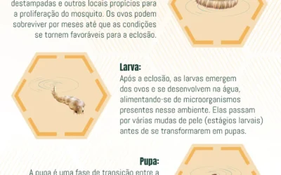 Dengue: Conhecendo o Ciclo de Transmissão e Medidas de Prevenção