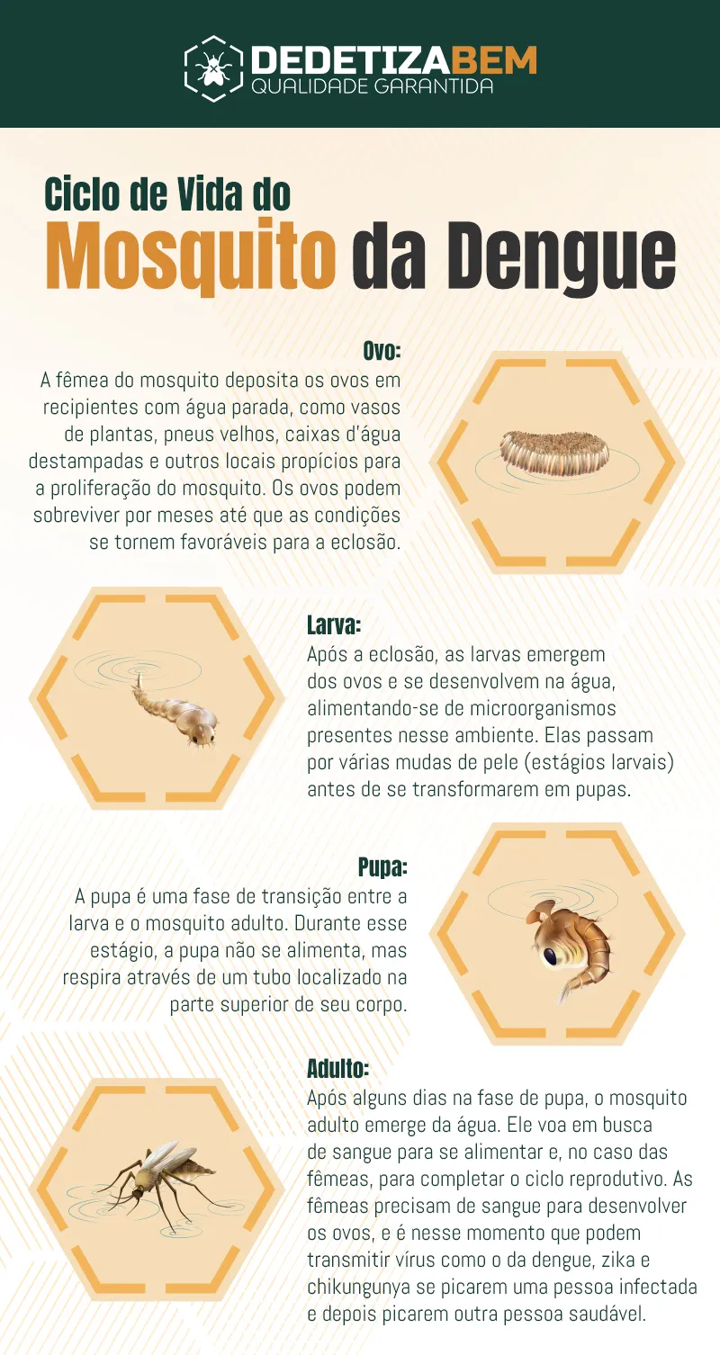 Dengue: Conhecendo o Ciclo de Transmissão e Medidas de Prevenção Dengue: Conhecendo o Ciclo de Transmissão e Medidas de Prevenção