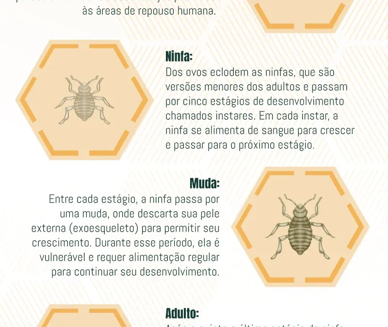 Ciclo de Vida dos Percevejos de Cama: Revelando o Ciclo Reprodutivo, Estratégias de Controle e os Riscos