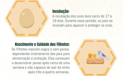 Ciclo de Vida dos Pombos: Compreendendo o Ciclo de Vida, Medidas Preventivas e Controle