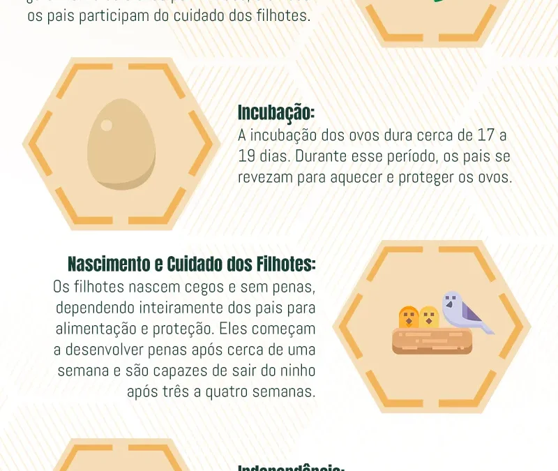 Ciclo de Vida dos Pombos: Compreendendo o Ciclo de Vida, Medidas Preventivas e Controle