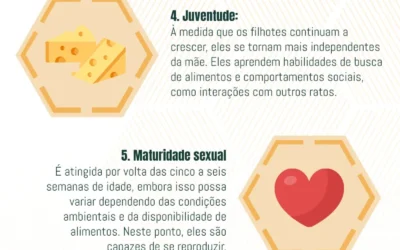 O Ciclo dos Ratos: Compreendendo a Reprodução e Eliminação dos Ratos
