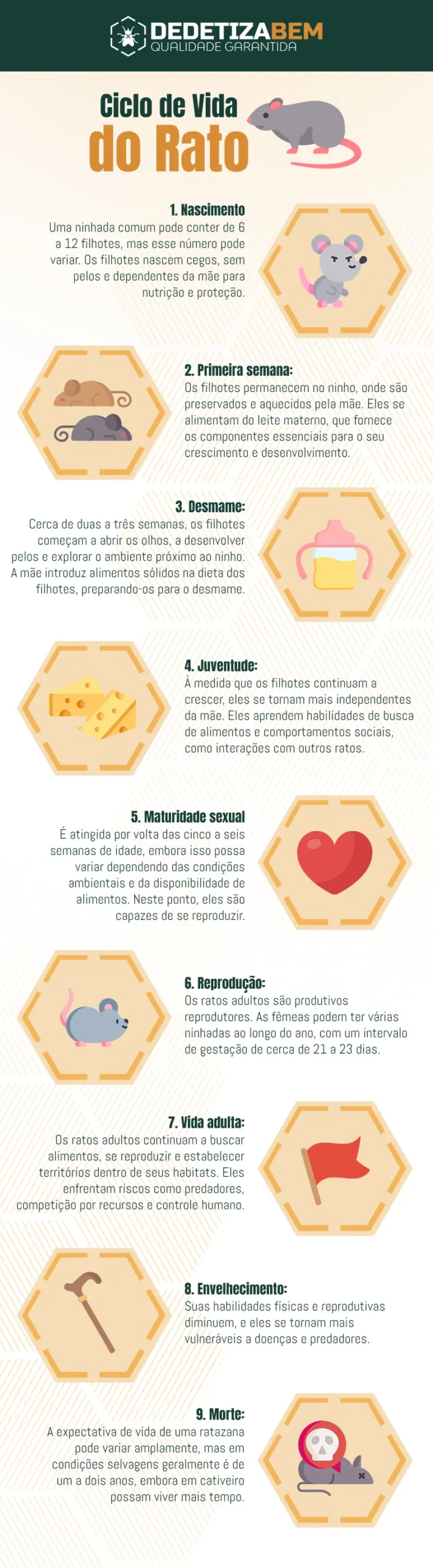 O Ciclo dos Ratos: Compreendendo a Reprodução e Eliminação dos Ratos O Ciclo dos Ratos: Compreendendo a Reprodução e Eliminação dos Ratos