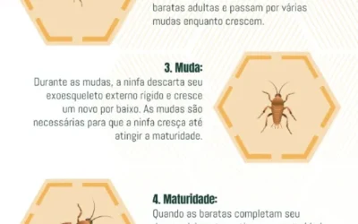 O Ciclo das Baratas: Reprodução, Habitat e Métodos de Dedetização