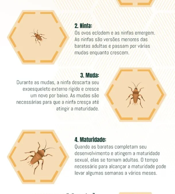 O Ciclo das Baratas: Reprodução, Habitat e Métodos de Dedetização
