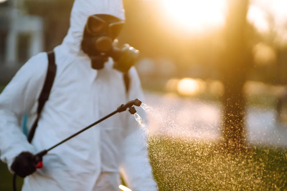 Serviço de Dedetização em SP: Vantagens da dedetização programada para a manutenção do ambiente livre de pragas. Serviço de Dedetização em SP: Vantagens da dedetização programada para a manutenção do ambiente livre de pragas.