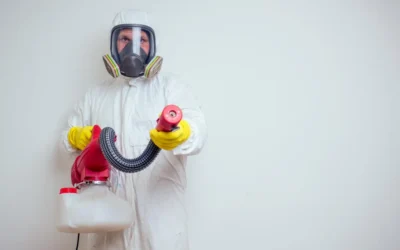 Dedetização com fumacê em São Paulo: Um método eficaz para eliminar e afastar os mosquitos