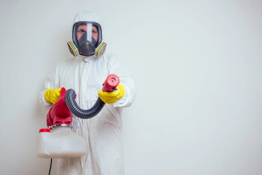 Dedetização com fumacê em São Paulo: Um método eficaz para eliminar e afastar os mosquitos Dedetização com fumacê em São Paulo: Um método eficaz para eliminar e afastar os mosquitos