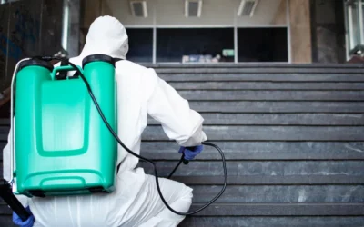 Estratégias avançadas de dedetização em São Paulo: Tecnologia e inovação.