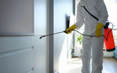 Gestão de pragas em condomínios: Como manter áreas comuns livres de insetos e roedores.