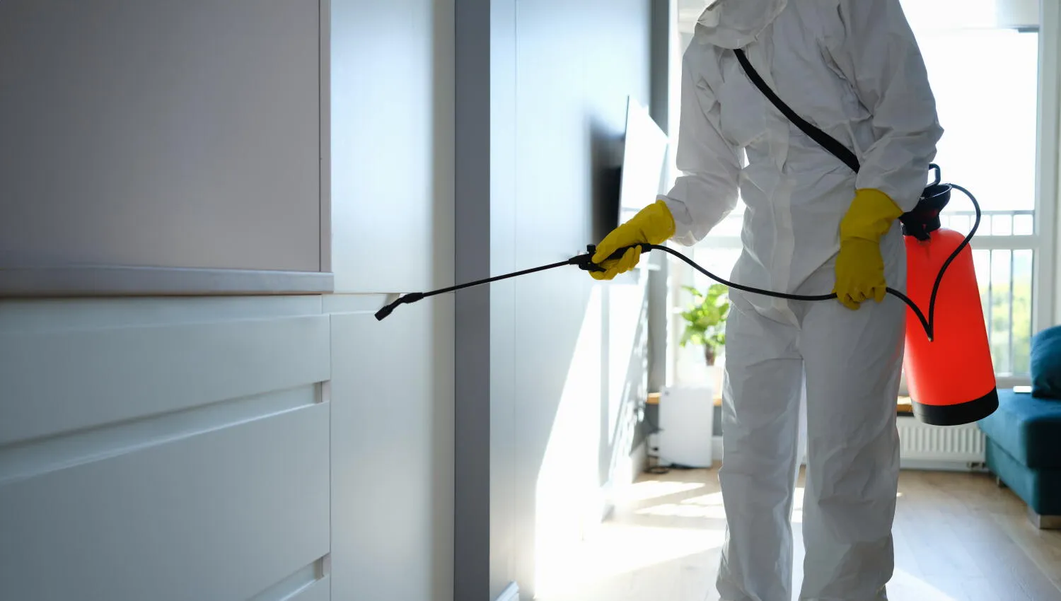 Gestão de pragas em condomínios: Como manter áreas comuns livres de insetos e roedores. Gestão de pragas em condomínios: Como manter áreas comuns livres de insetos e roedores.