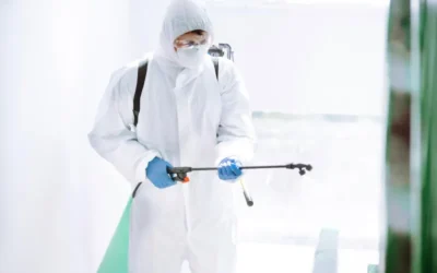 Dedetização de Consultórios Odontológicos