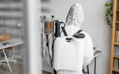 Dedetização na Saúde SP: Serviços Personalizados para a Região