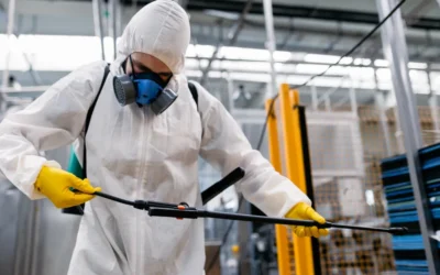 Principais Pragas na Indústria de Alimentos e Como Combatê-las