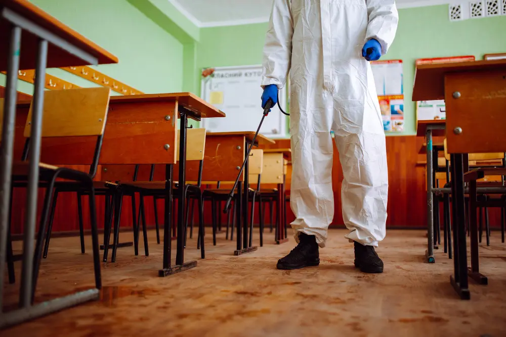 A presença de pulgas e carrapatos em ambientes escolares, os riscos à saúde e as estratégias para controle.