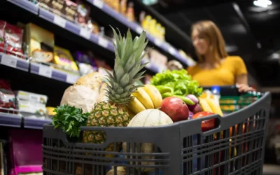 Estratégias Eficazes para Controle de Pragas em Supermercados