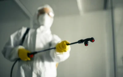 Controle de Pragas em Comércio: Como Escolher uma Empresa de Controle de Pragas