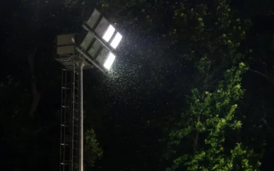 Sobre as diferenças entre mosquitos de luz e aleluias (cupins alados)