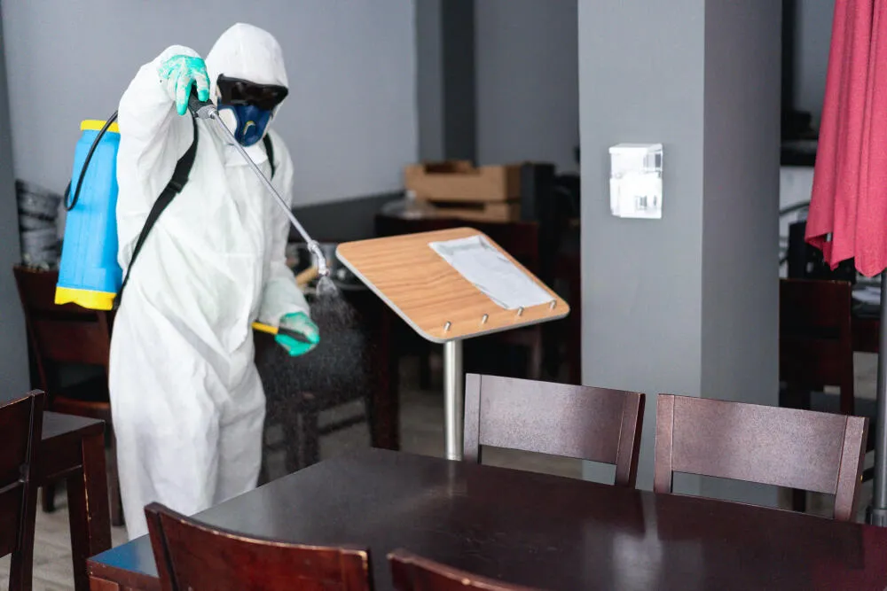 Proteja seu restaurante das pragas: Dedetização para manter seu ambiente livre de riscos Proteja seu restaurante das pragas: Dedetização para manter seu ambiente livre de riscos