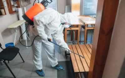 Dedetizadora para Cotação? Saiba as principais pragas