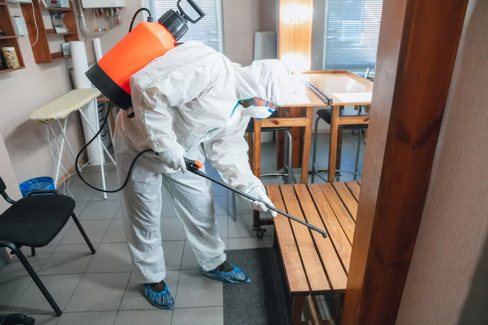 Dedetizadora para Cotação? Saiba as principais pragas Dedetizadora para Cotação? Saiba as principais pragas