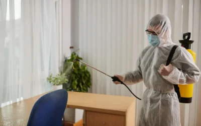Infestação de Baratas: Como Identificar os Primeiros Sinais e Agir Rápido