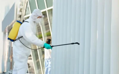 Infestação de Formigas: Controle Eficiente para Evitar a Propagação em Ambientes Comerciais