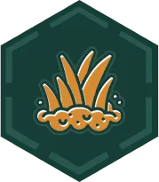 Capina Química - São Paulo // Dedetizadora em SP